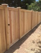 Cedar Fence