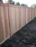 Cedar Fence