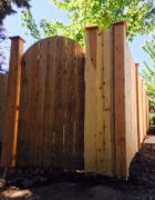 Cedar Fence